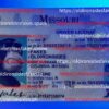 Missouri Driver License(Old MO O21) - Image 4