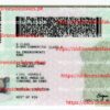 New Hampshire Driver License(NH) - Image 2